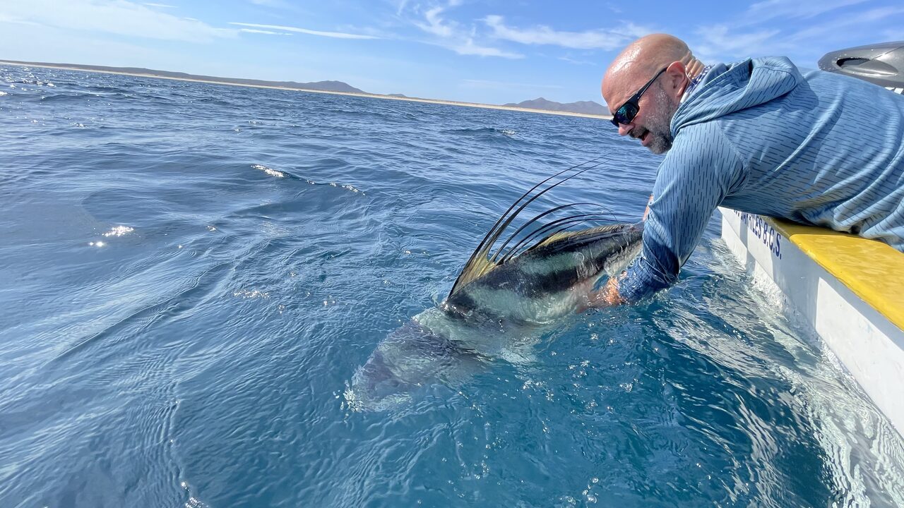 Sportfishing tour, La Paz