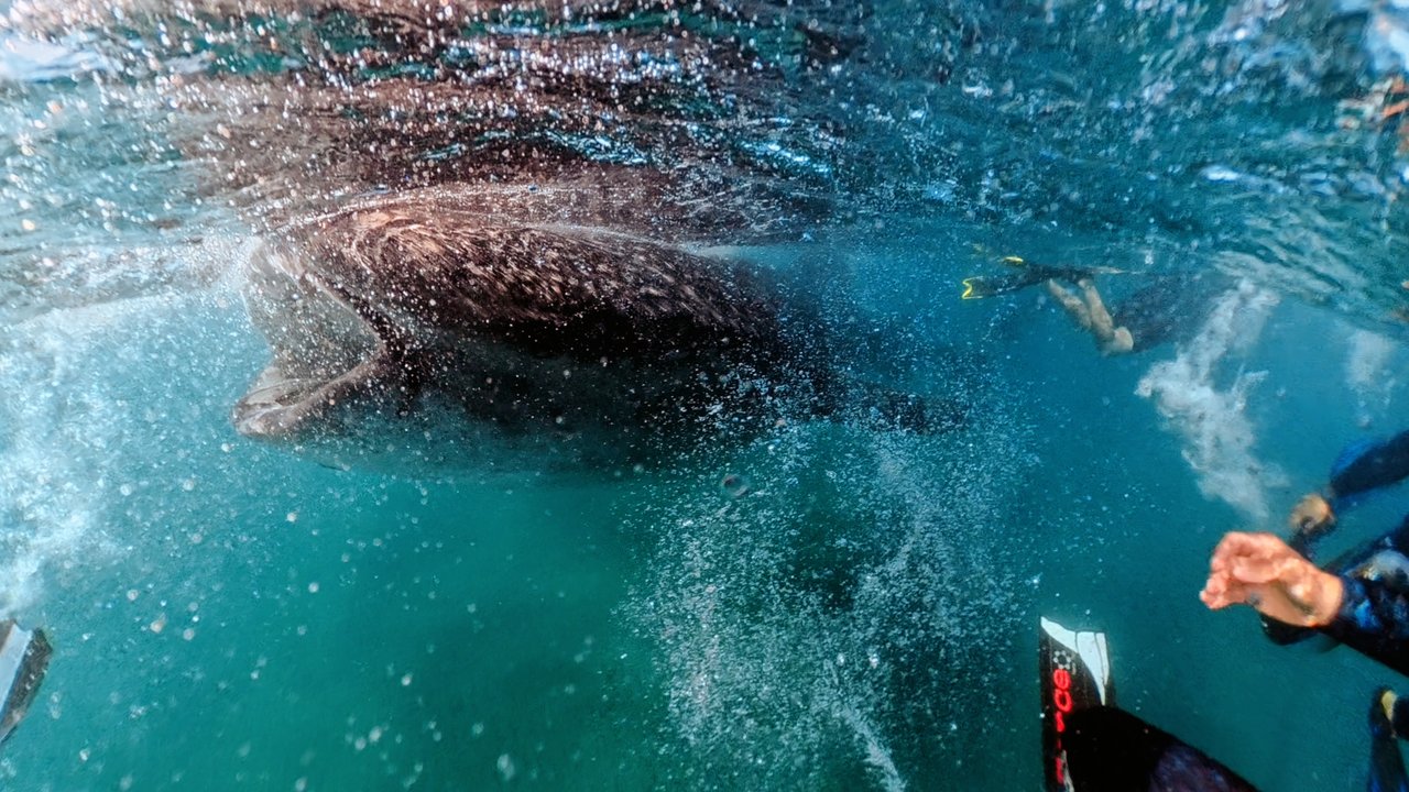 The Grand Slam tour, La Paz